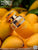 Tropical Kiss FRENCH AVENUE - Sample 10 ml