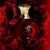 Turathi Red Femme AFNAN - Muestra 3 ml