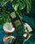 Island KHADLAJ - Sample 3 ml
