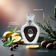 Safeer NICHE EMARATI