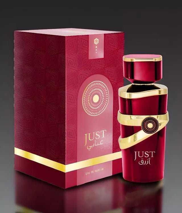 Just Anabi Fragrance World 100ml - Arabic Parfums