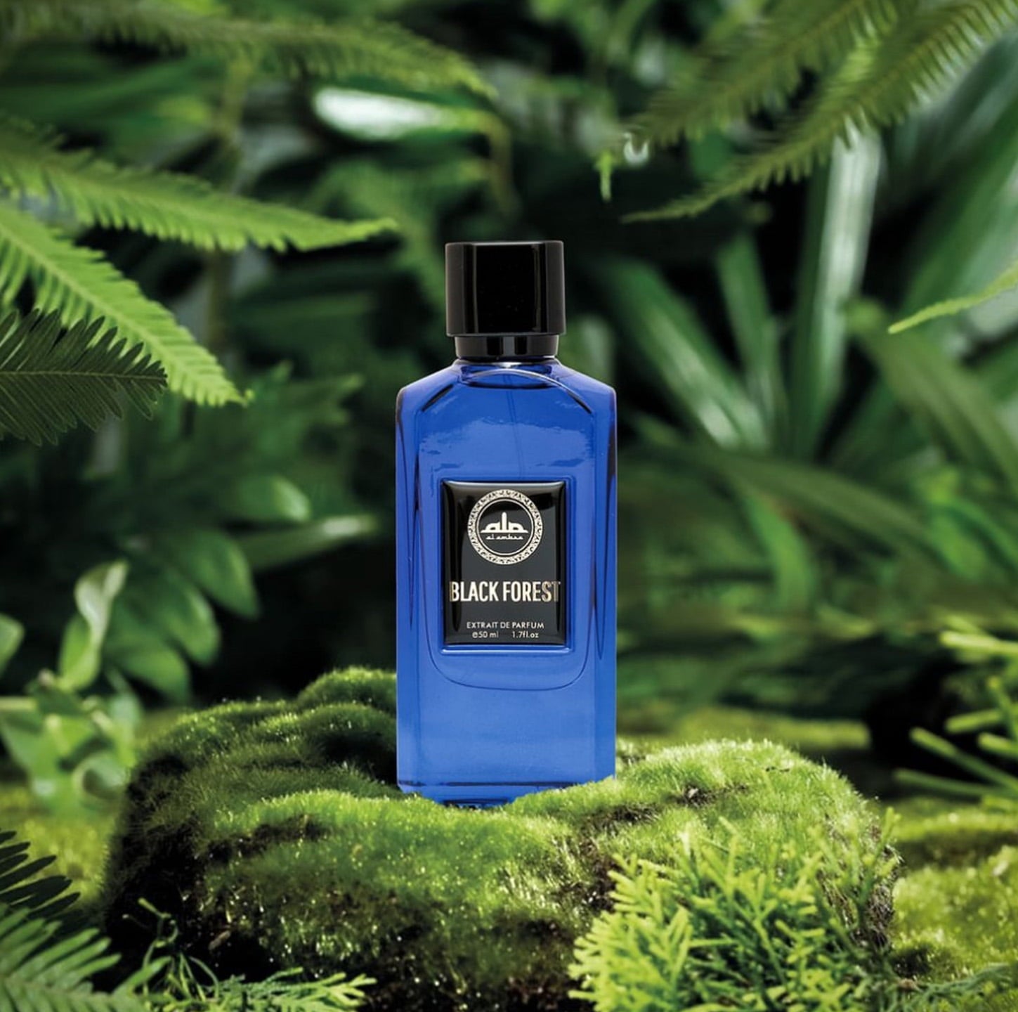 Black Forest AL AMBRA AL AMBRA | Men's Perfume — Arabic Parfums