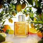 Frasco Original 50 ml