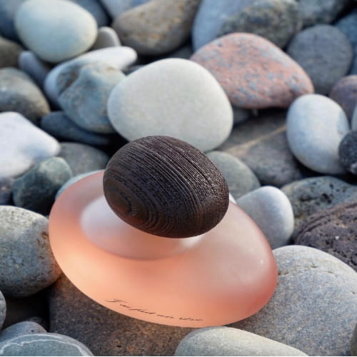 J'ai fait un rêve clair MAJDA BEKKALI