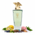 Silent Halo BUJAIRAMI - Sample 3 ml