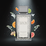 DXB Maison Asrar - Conversión Dramática