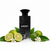 Perfume con notas de bergamota de Calabria, cítricos verdes, flor de azahar de Túnez, pachulí de Indonesia y Ambrofix