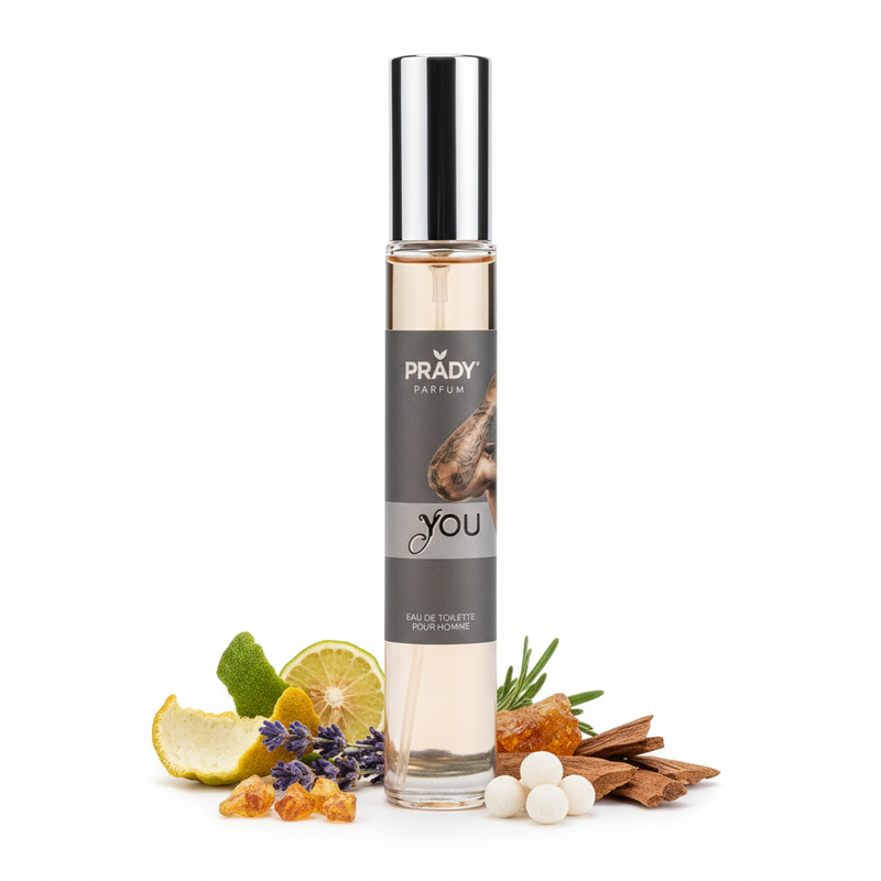 Prady You Pour Homme parfum cu ingrediente