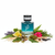 653 Fougere Aromatic SHAIK - Muestra 5 ml